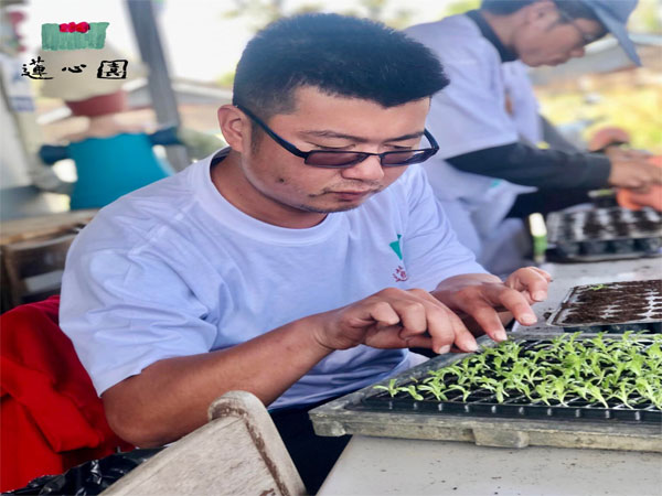 憨慢兒是一群長不大的孩子標題圖